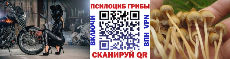 наркота  Уржум  Псилоцибиновые грибы MAGIC MUSHROOMS 